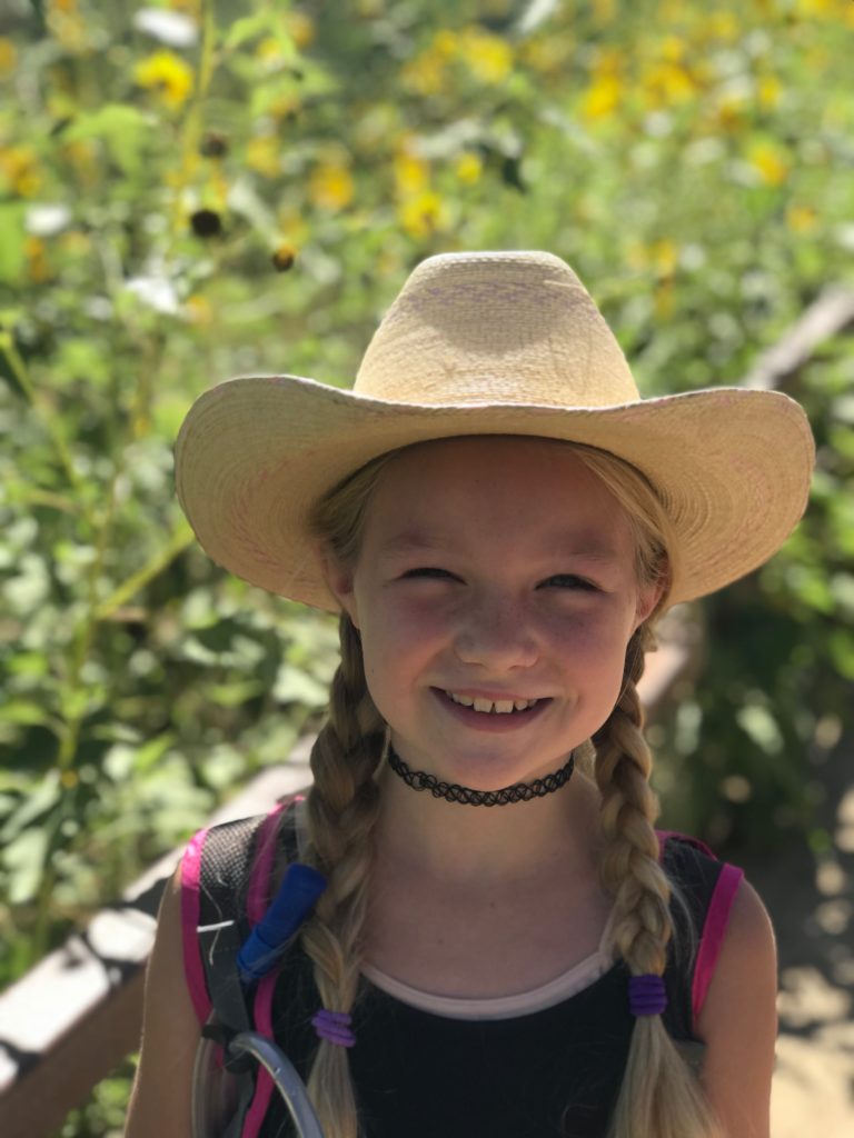 sage tousey in sunflowers american family