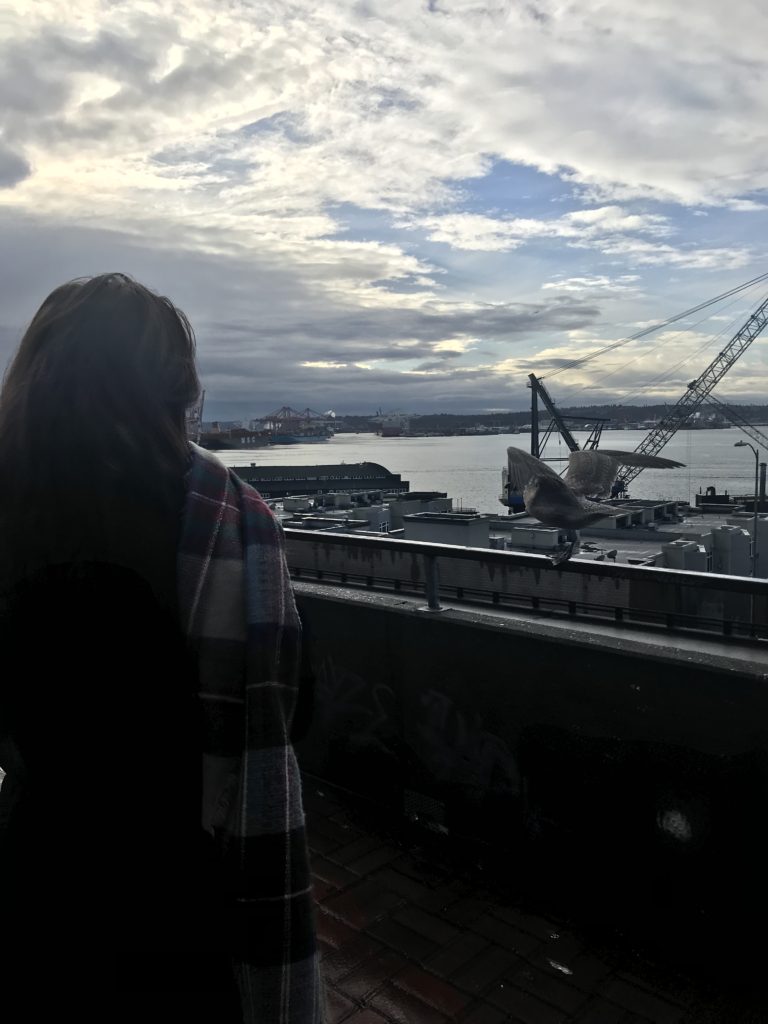 shipyard view Seattle
