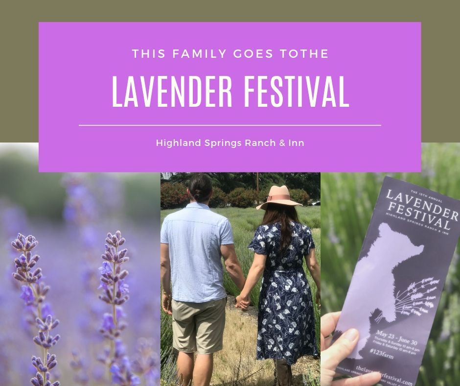 family vacation to lavender festival