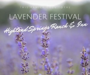 discover lavender