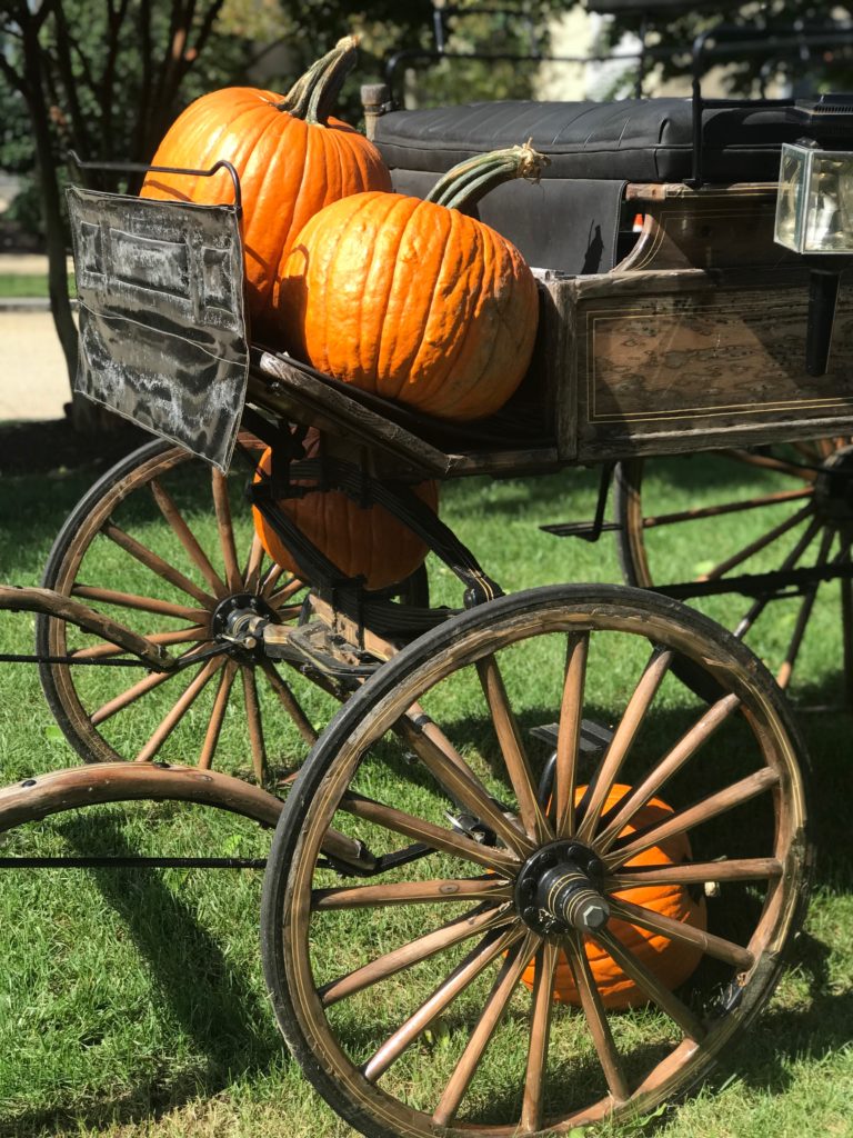 pumpkin harvest colonial buggy