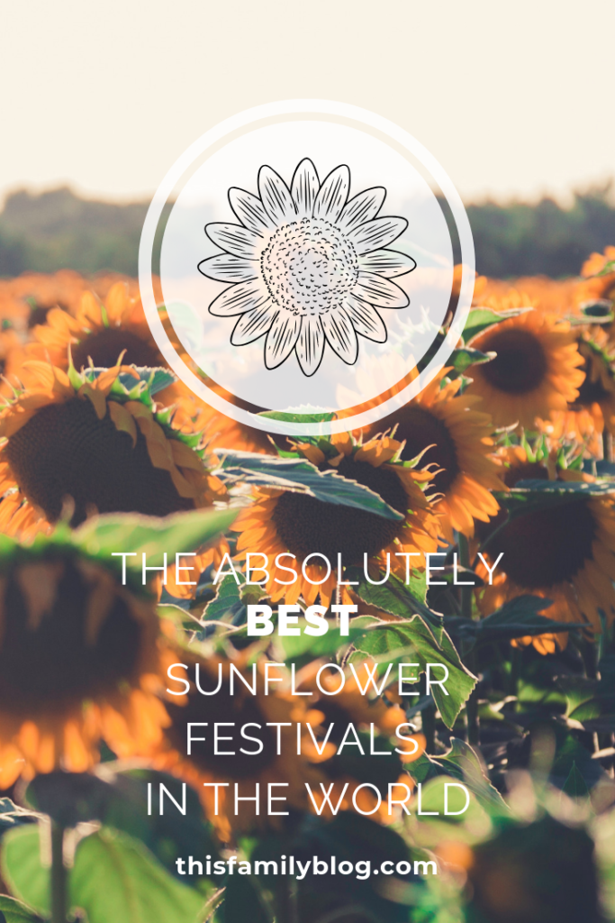 the best sunflower festivals in the world in the US