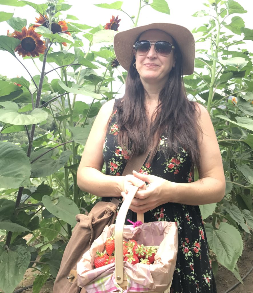 strawberries and sunflowers at sunflower festivals of the world