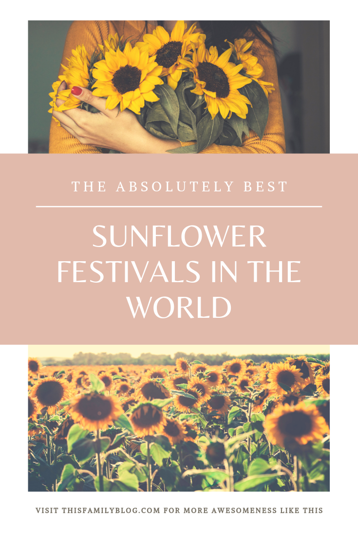 the absolutely best sunflower festivals in the world