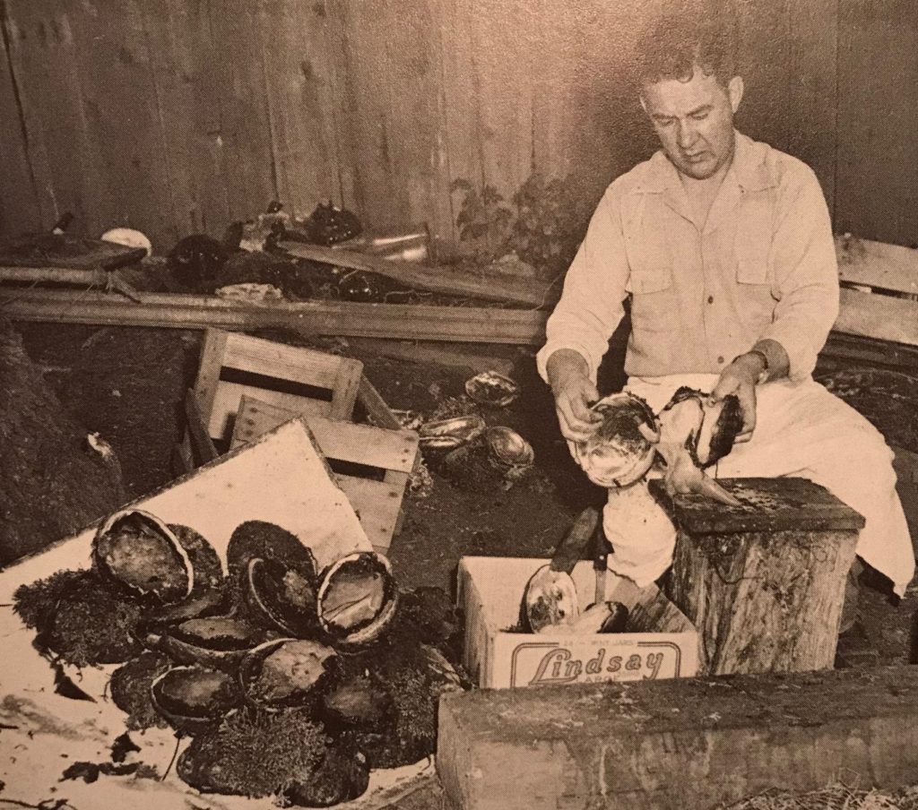 Ole cleaning abalone 1945 little river inn