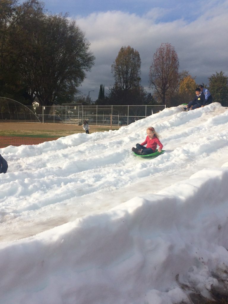 things to do in winter sledding