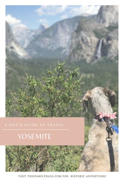Dog guide to travel yosemite