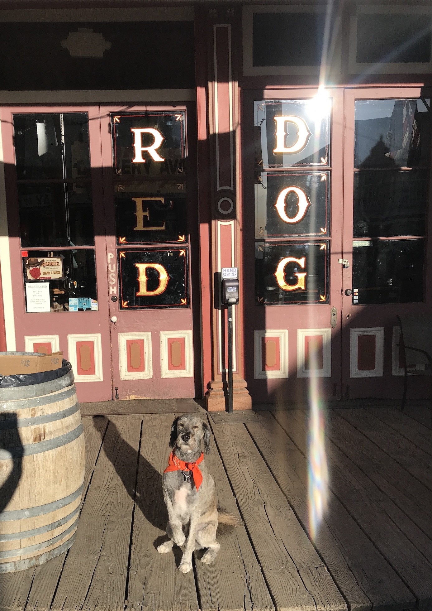 Travel visit dog friendly virginia city Nevada