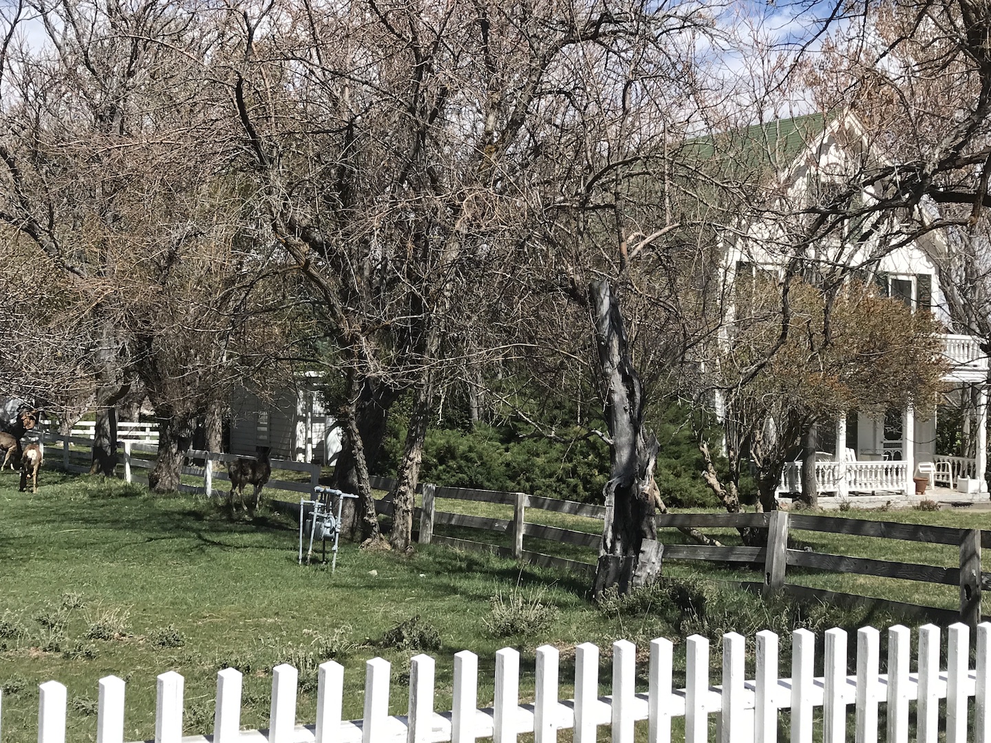 visit historic Genoa Nevada